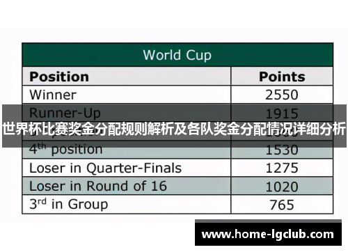 世界杯比赛奖金分配规则解析及各队奖金分配情况详细分析