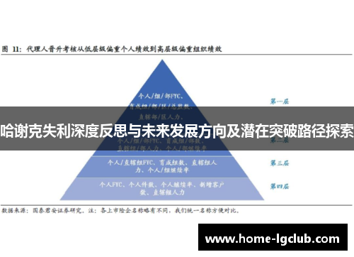 哈谢克失利深度反思与未来发展方向及潜在突破路径探索